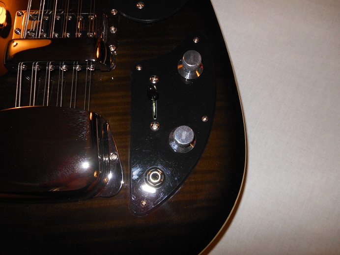 Teardrop Hollow Body 12 String Picture 15